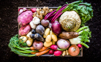 Top 5 Roots and Vegetables to Boost Your Health and Energy