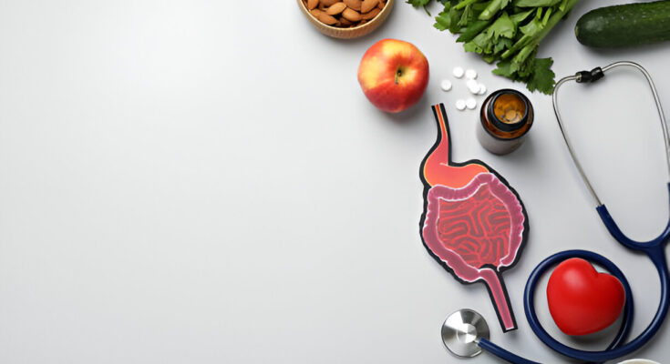 The Role of Gut Health in Overall Wellness